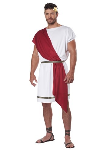 Adult Party Toga Costume Alt 2