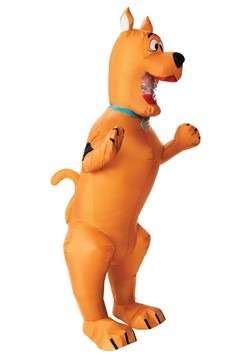 Scooby Doo Mens Fancy Dress Cartoon Character Dog Animal Adult Halloween Costume 
