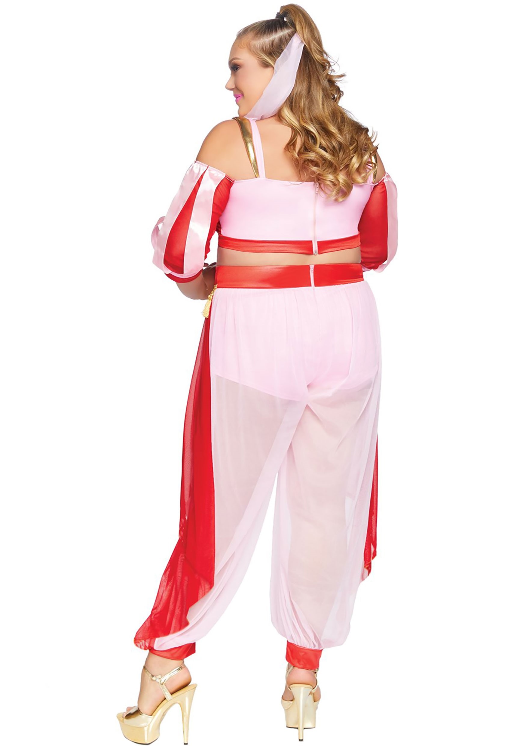 Plus Size Dreamy Genie Costume For Adults 