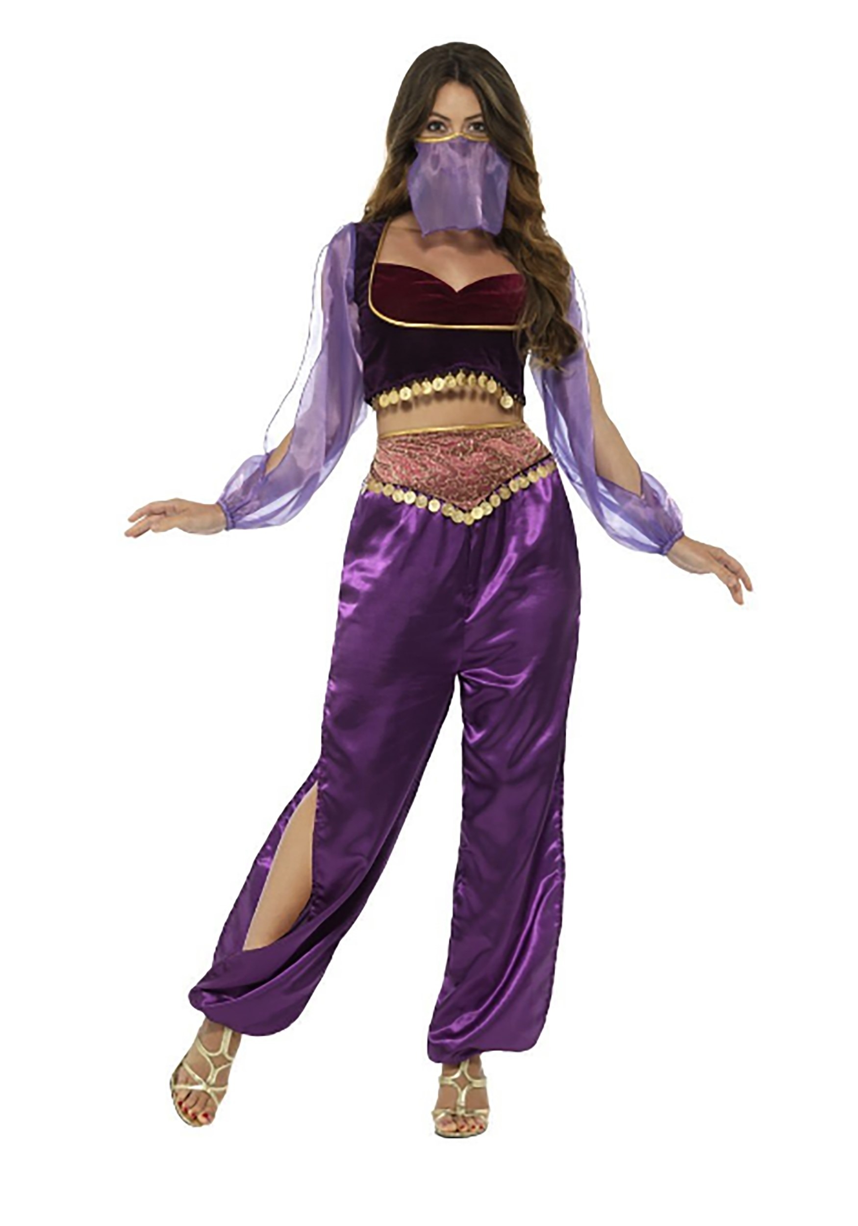 Applying Mail cliff Purple Belly Dancer Costume for Women