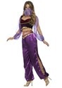 Womens Purple Belly Dancer Costume Alt 2