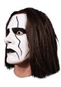 WWE Sting Mask Alt 1