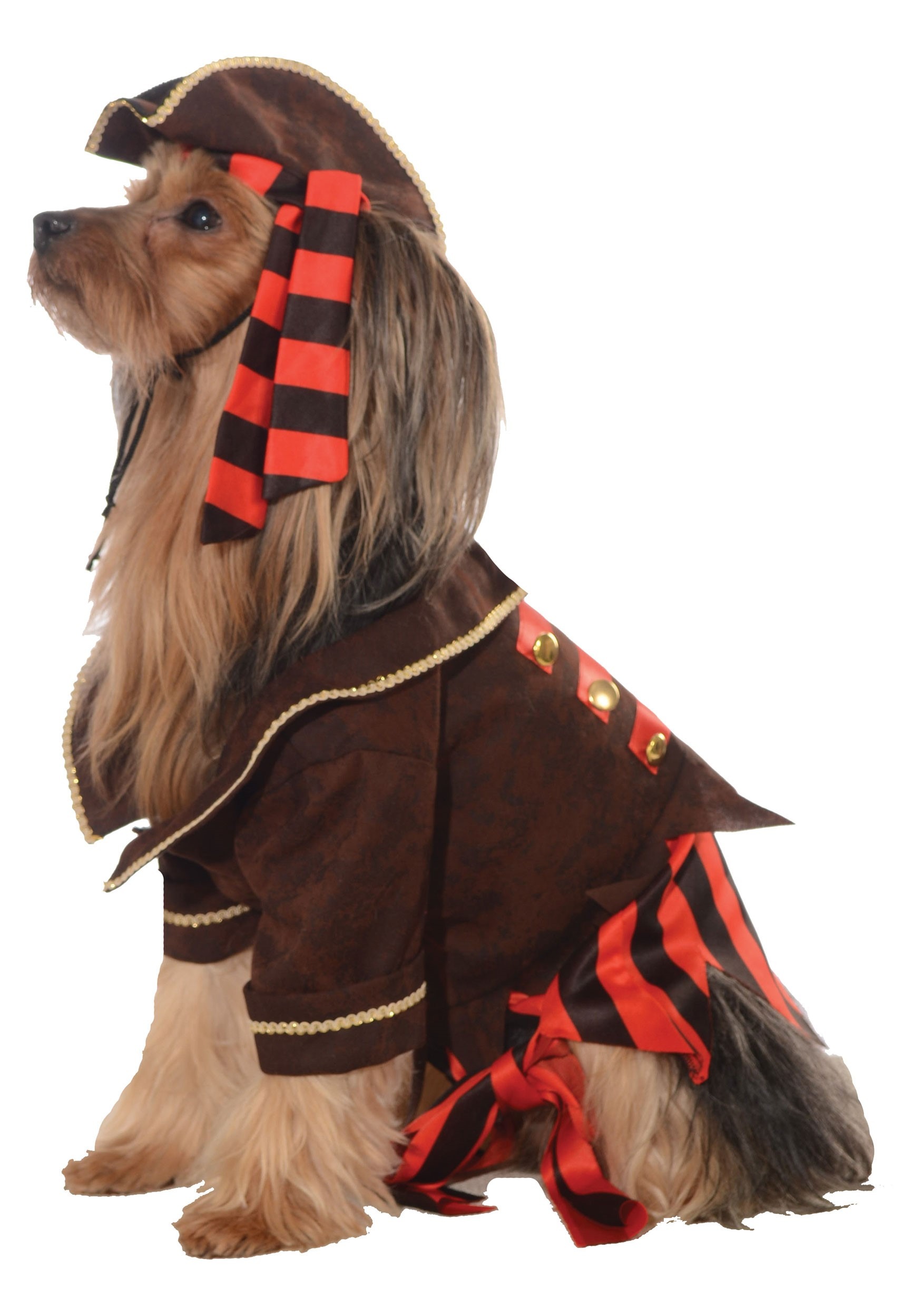 Disfraz de perro pirata Multicolor