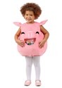 Child Feed Me Pig Costume
