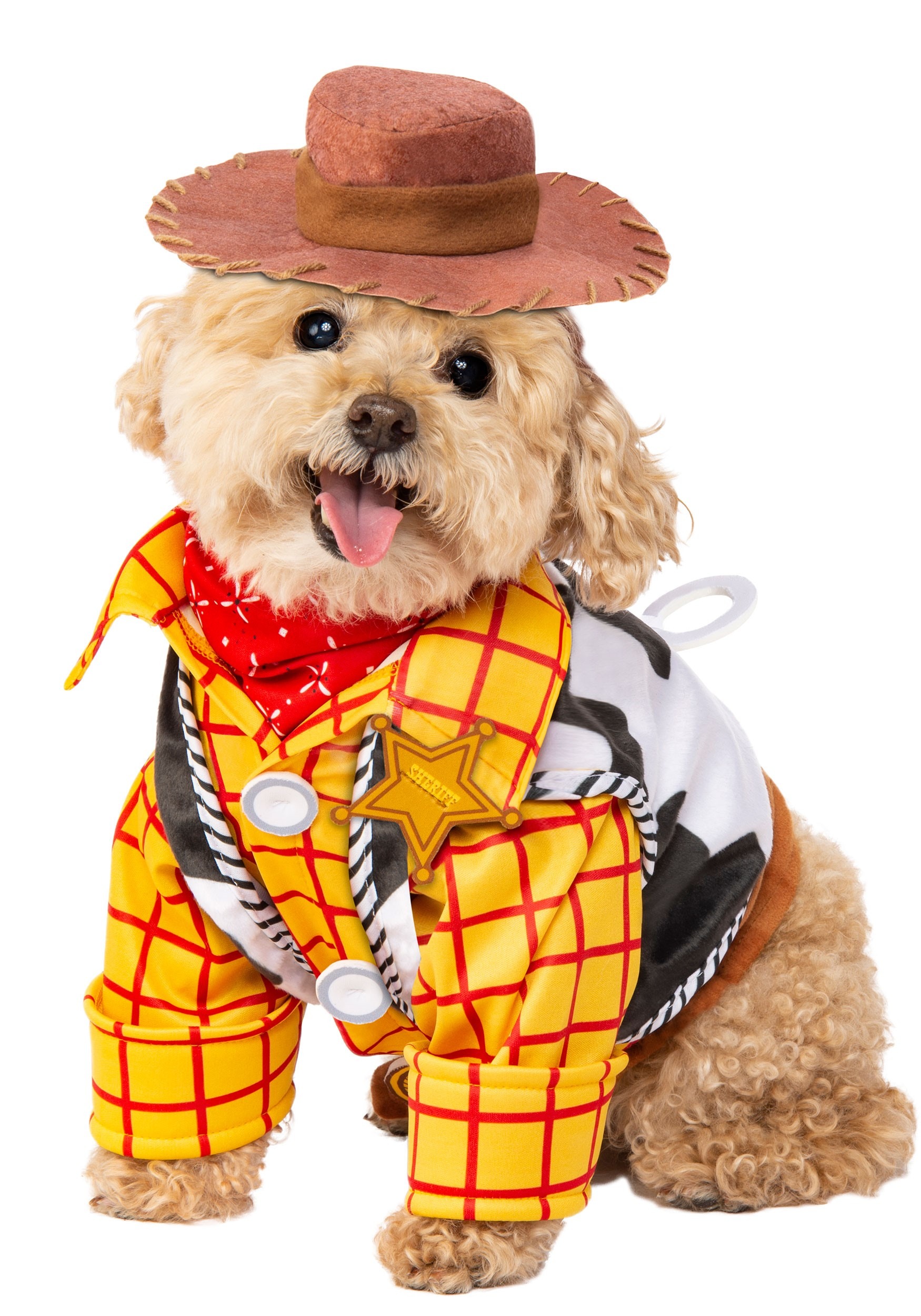 Toy Story Woody Pet Costume