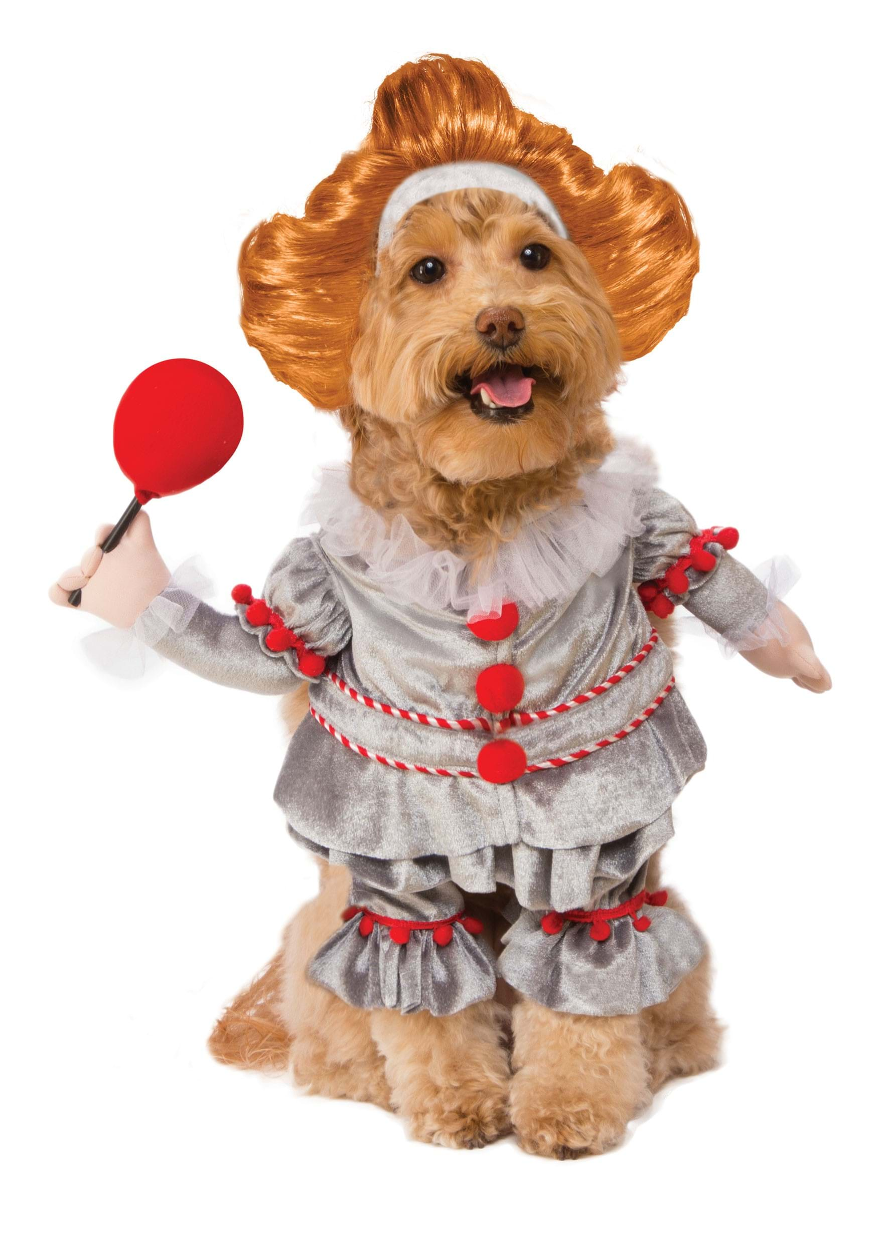 dog clown outfit