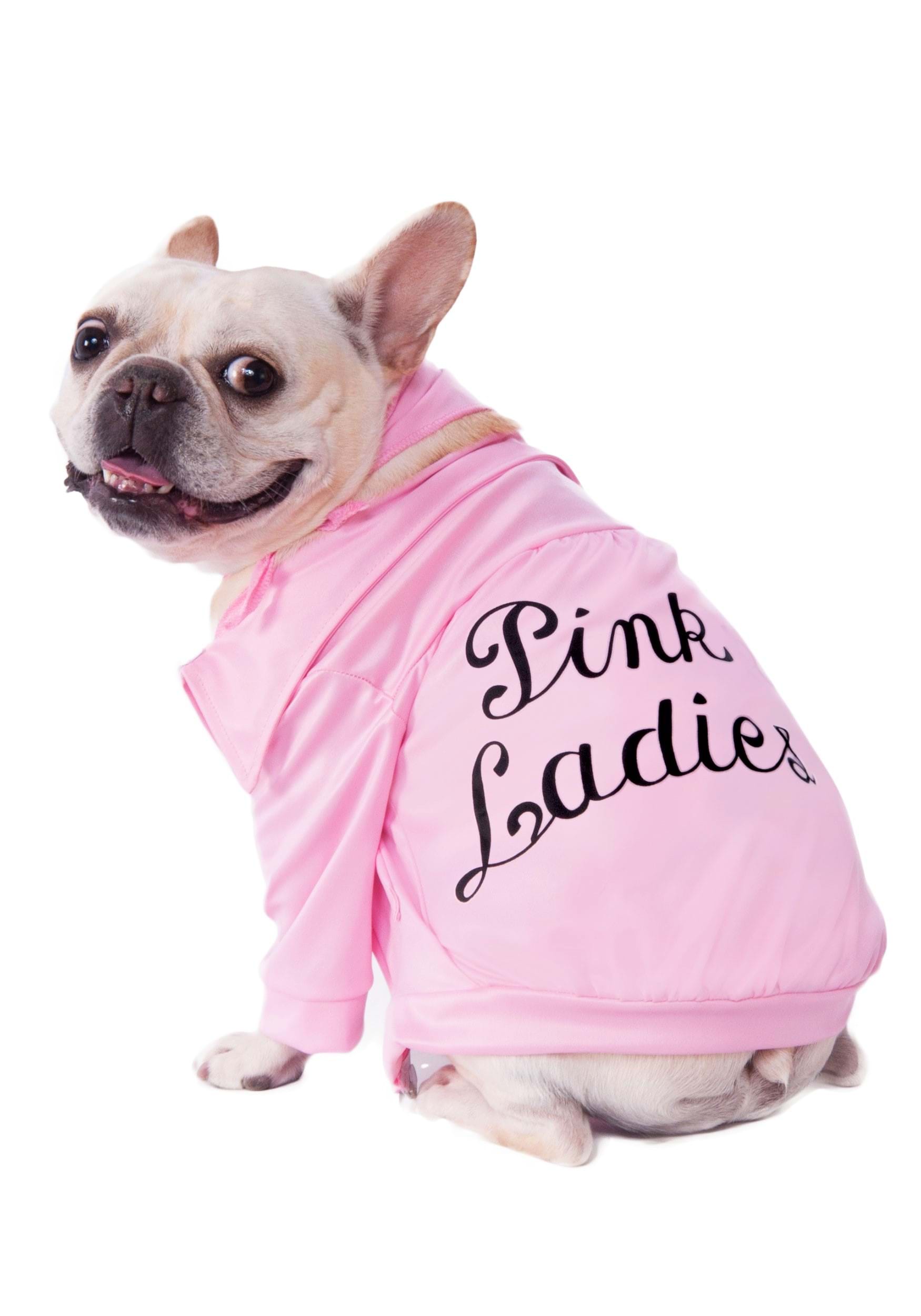 Photos - Fancy Dress Rubies Costume Co. Inc Grease Pink Ladies Jacket Dog Costume Black/Pin 
