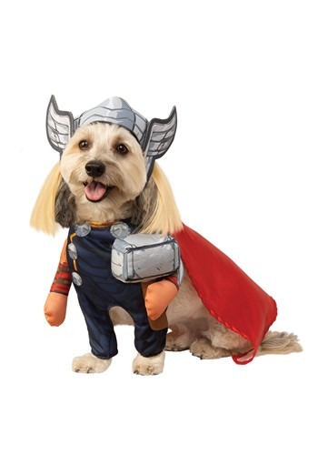 Thor Pet Costume