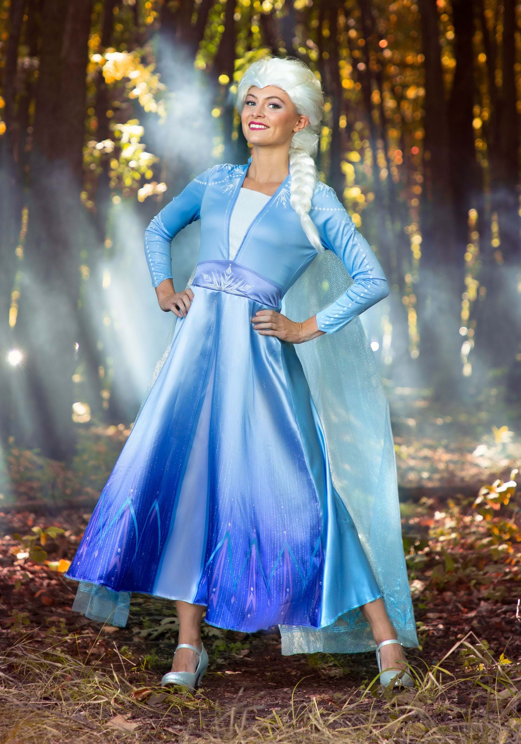 Frozen adult women Elsa Dress blue small 
