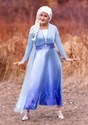 Frozen 2 Adult Elsa Wig alt1