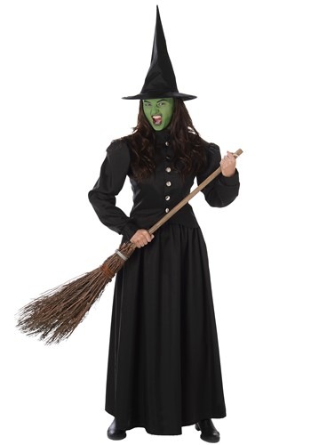 Wicked Witch Women's Costume
