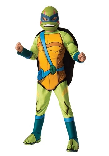 Kids Teenage Mutant Ninja Turtle Leonardo Deluxe Costume