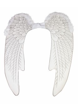 White Angel Wings