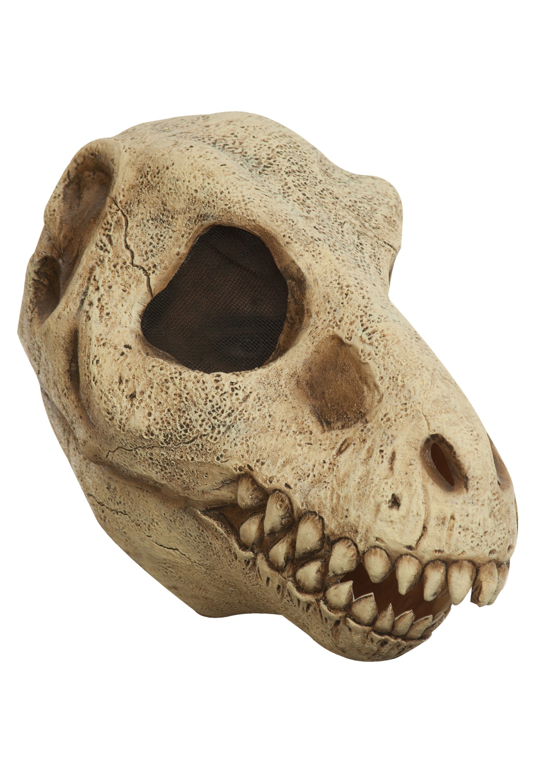 Máscara de cráneo T-rex Multicolor