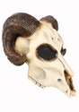 Ram Skull Mask Alt 1