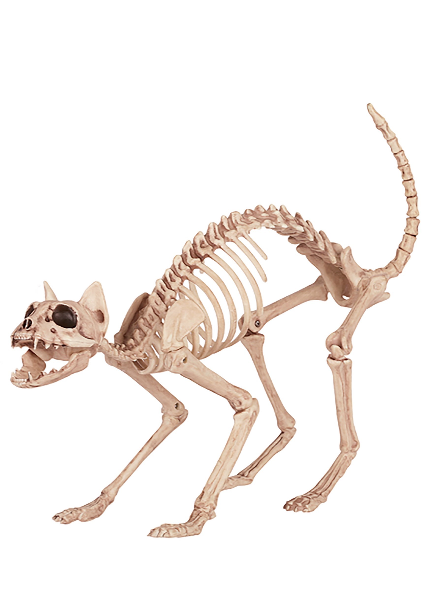 skeleton-cat-halloween-decoration