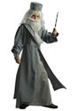 Harry Potter Child Dumbledore Deluxe Costume