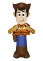 Toy Story Inflatable Woody with Banner