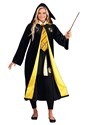 Deluxe Harry Potter Plus Size Adult Hufflepuff Robe alt2
