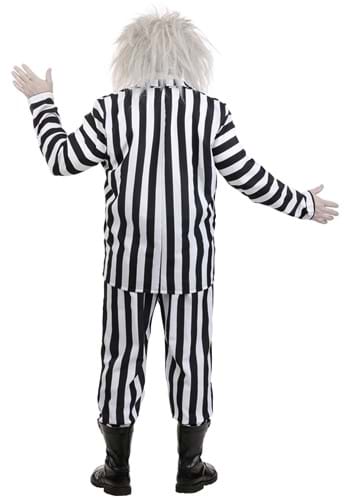 Plus Size Beetlejuice Costume | Adult Beetlejuice Costumes