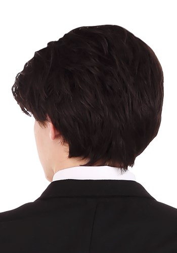 Edgar Allan Poe Adult Wig and Mustache | Historical Costume Accessories