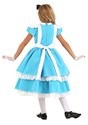 Girls Premium Alice Costume Back