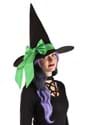 Adult's Custom Color Witch Hat Alt 5