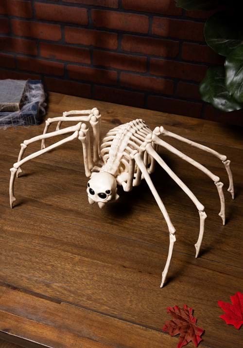 Skeleton Spider new