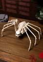 Skeleton Spider new