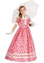 Kid's Lovely Southern Belle Costume