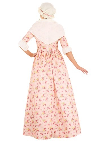 Colonial Dress Women's Costume | Adult Historical Costumes