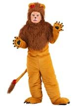 Kid's Classic Storybook Lion Costume
