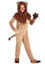 Wizard of Oz Cowardly Lion Kids Costume_Update