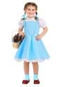 Toddler's Classic Dorothy Wizard of Oz Costume1_Update