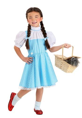 Dorothy Costume For Teenagers