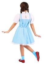 Kid's Classic Dorothy Wizard of Oz Costume2