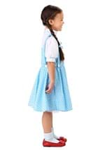 Kid's Classic Dorothy Wizard of Oz Costume Alt 10