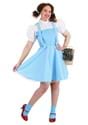 Adult's Wizard of Oz Dorothy Costume Alt 1