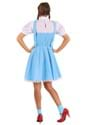 Wizard of Oz Dorothy Adult Costume