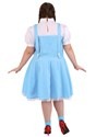 Plus Size Wizard of Oz Dorothy Costume2