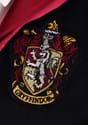 Plus Size Deluxe Harry Potter Costume Alt 4 Upd