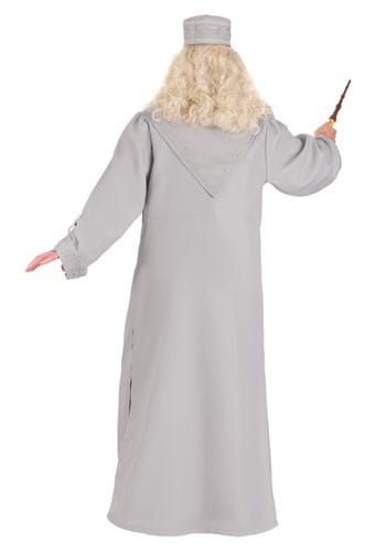 Deluxe Harry Potter Men's Dumbledore Costume | Harry Potter Costumes