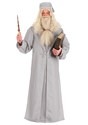 Deluxe Harry Potter Dumbledore Plus Size Costume