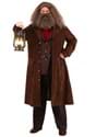 Deluxe Harry Potter Hagrid Men's Costume-alt2 upd