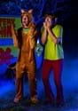 Men's Classic Scooby Doo Shaggy Costume  Alt 9