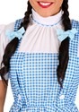 Teen Dorothy Costume Alt 2