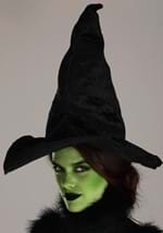 Womens Defiant Wicked Witch Costume Alt 2