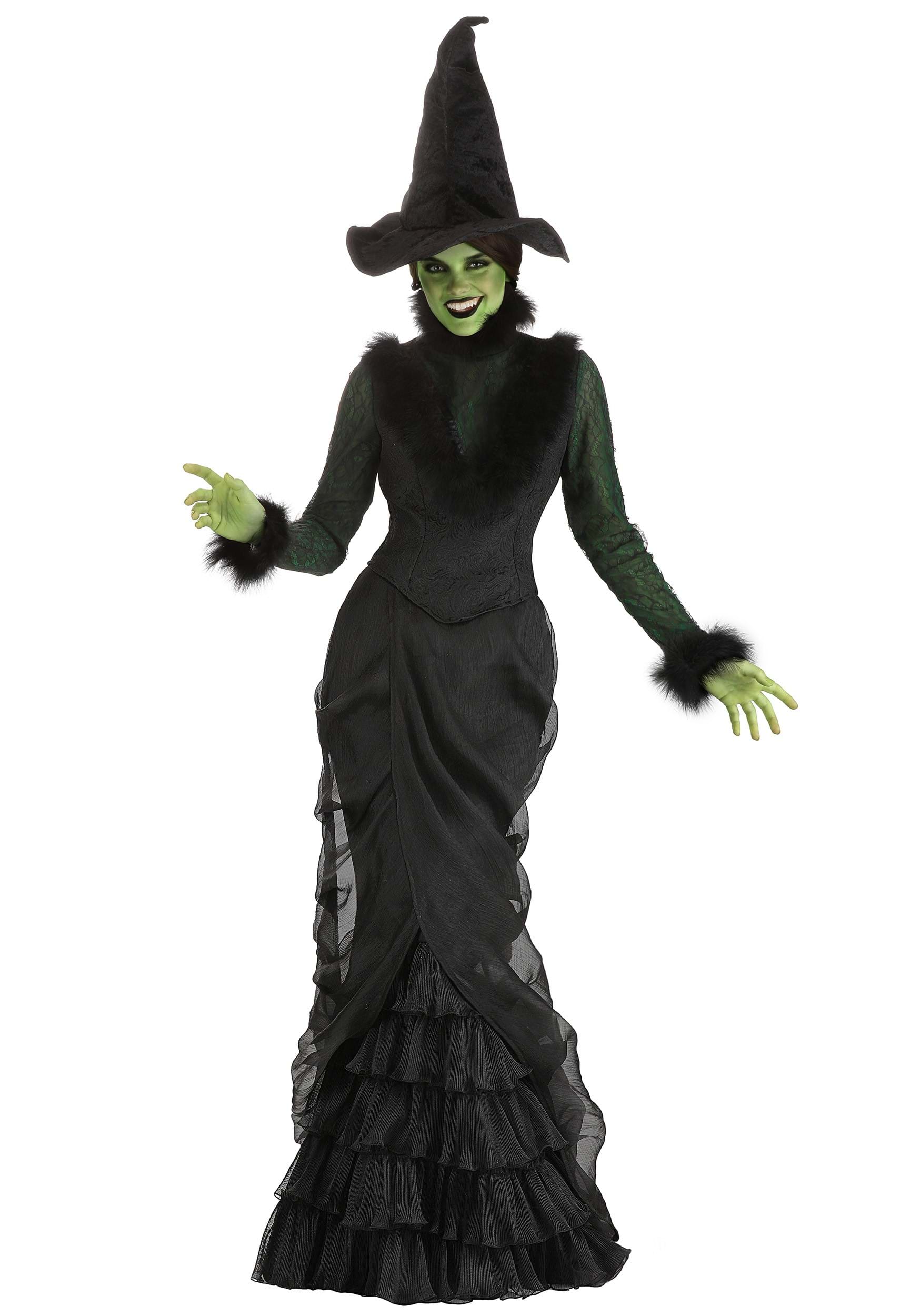 Defiant Wicked Witch Costume For Women , Witch Costumes