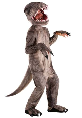 Womens deals animal costumes