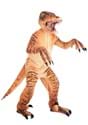 Adult's Velociraptor Costume